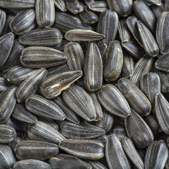 Sunflower_seads_700