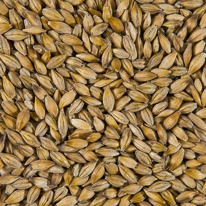 Barley_700