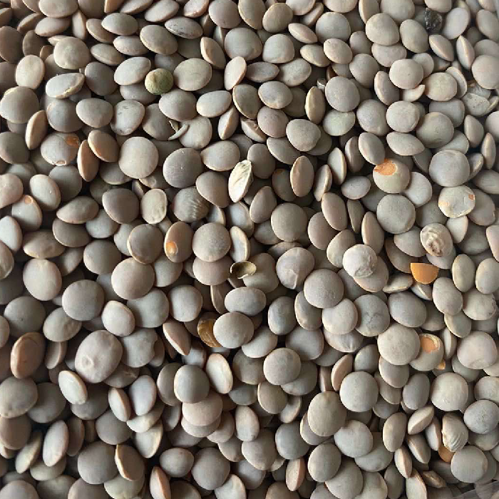 Lentils_700